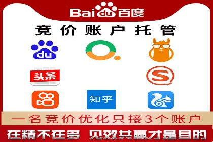 某公司通过百度竞价实现业务快速增长的案例